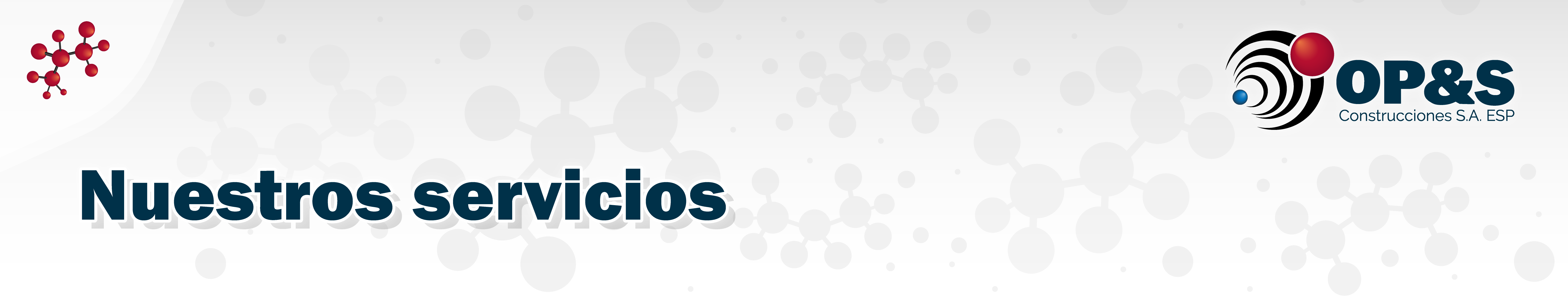 Servicios